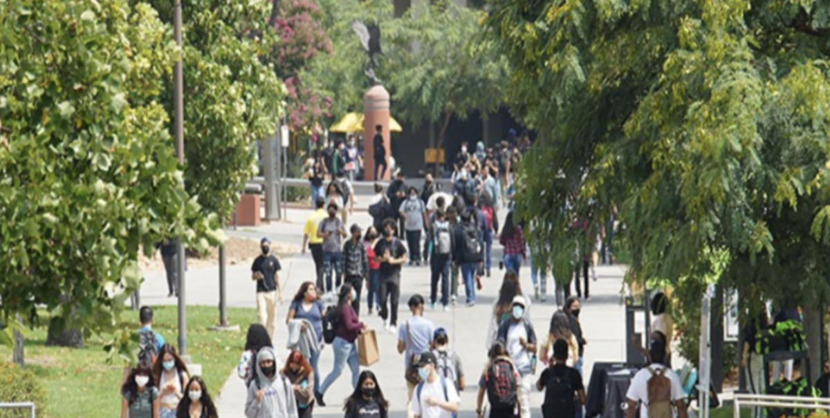 Group of students walking together outdoors
