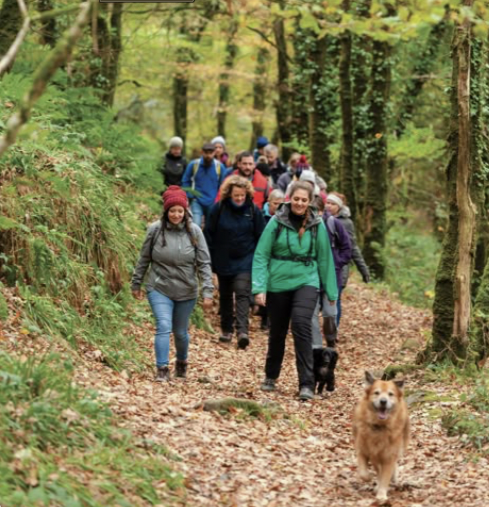 people on a walk